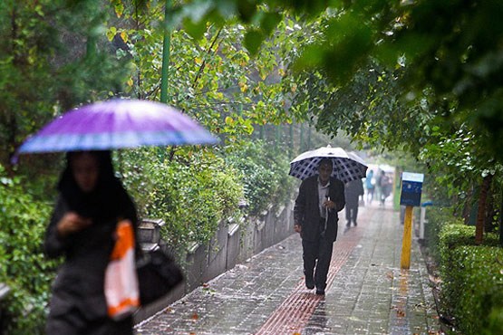 باران در شمال کشور می بارد/گردو غبار در غرب کشور