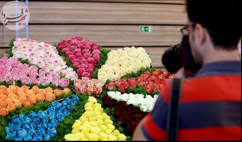 جشنواره گل های پاییزی در تهران+عکس جشنواره گل های پاییزی در تهران+عکس