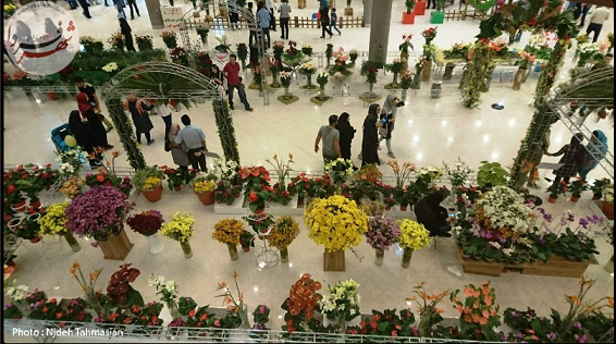 جشنواره گل های پاییزی در تهران+عکس جشنواره گل های پاییزی در تهران+عکس