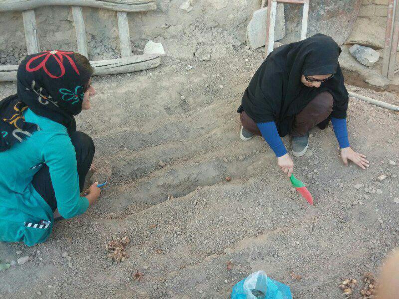کشت زعفران در روستایی که ساکنان آن از آب شرب هم محروم هستند/ کمک جهادگر فلسطینی به روستانشینان ایران