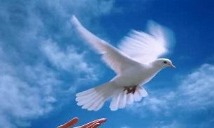 گذشت اوليای دم در پای چوبه دار