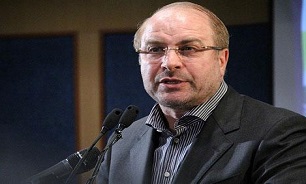 در راه پشتیبانی از مجاهدت های مدافعین حرم زخم زبان های متعددی شنیده ام/ تکفیری ها جور کش استکبار جهانی در سوریه و عراق هستند در راه پشتیبانی از مجاهدت های مدافعین حرم زخم زبان های متعددی شنیده ام/ تکفیری ها جور کش استکبار جهانی در سوریه و عراق هستند