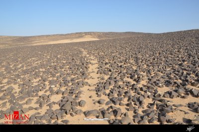 کشف کتیبه‌های خطی در صحرای سیاه اردن+تصاویر