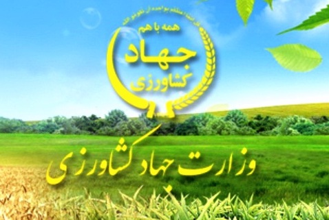 بودجه وزارت جهاد کشاورزی ۳ هزار و ۳۹۰ میلیارد تومان برآورد شد بودجه وزارت جهاد کشاورزی ۳ هزار و ۳۹۰ میلیارد تومان برآورد شد