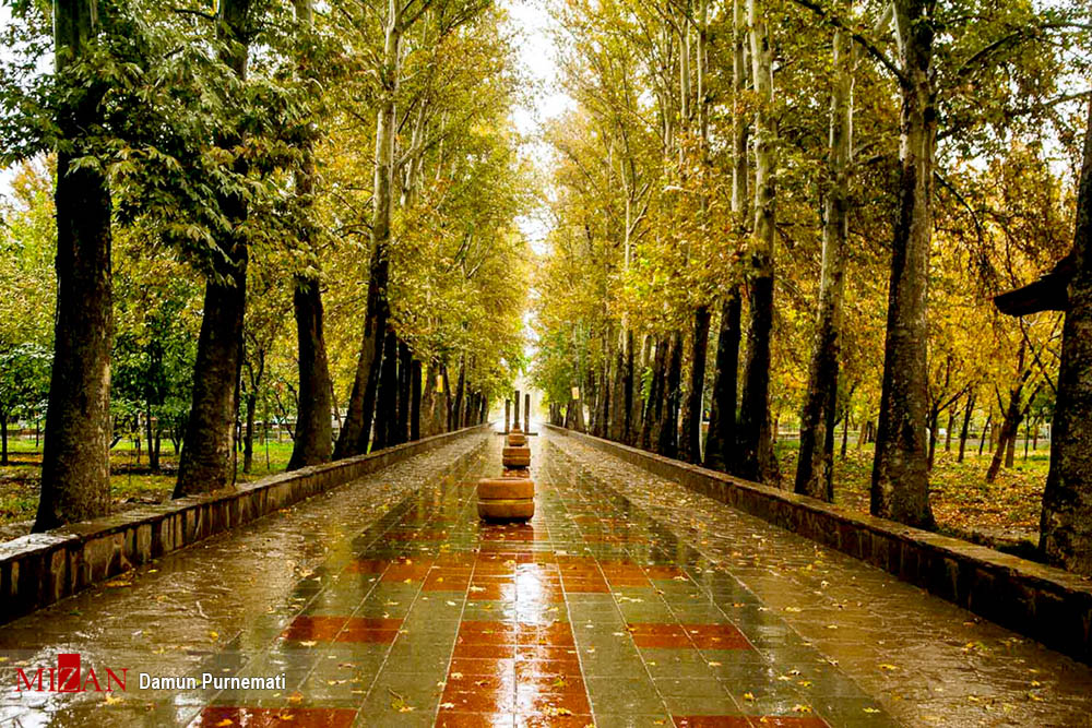 باران در 16 استان کشور می بارد/ وزش تندباد از فردا