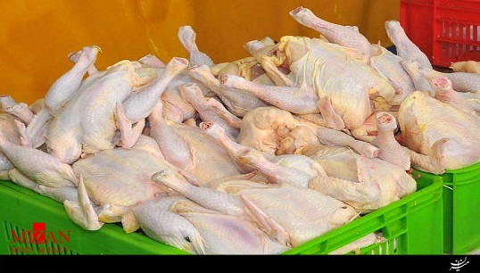 کلک جدید مرغفروشان برای سرکیسهکردن مشتریان + فیلم کلک جدید مرغفروشان برای سرکیسهکردن مشتریان + فیلم