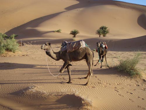 پاییز به کجا سفر کنیم+ تصاویر پاییز به کجا سفر کنیم+ تصاویر
