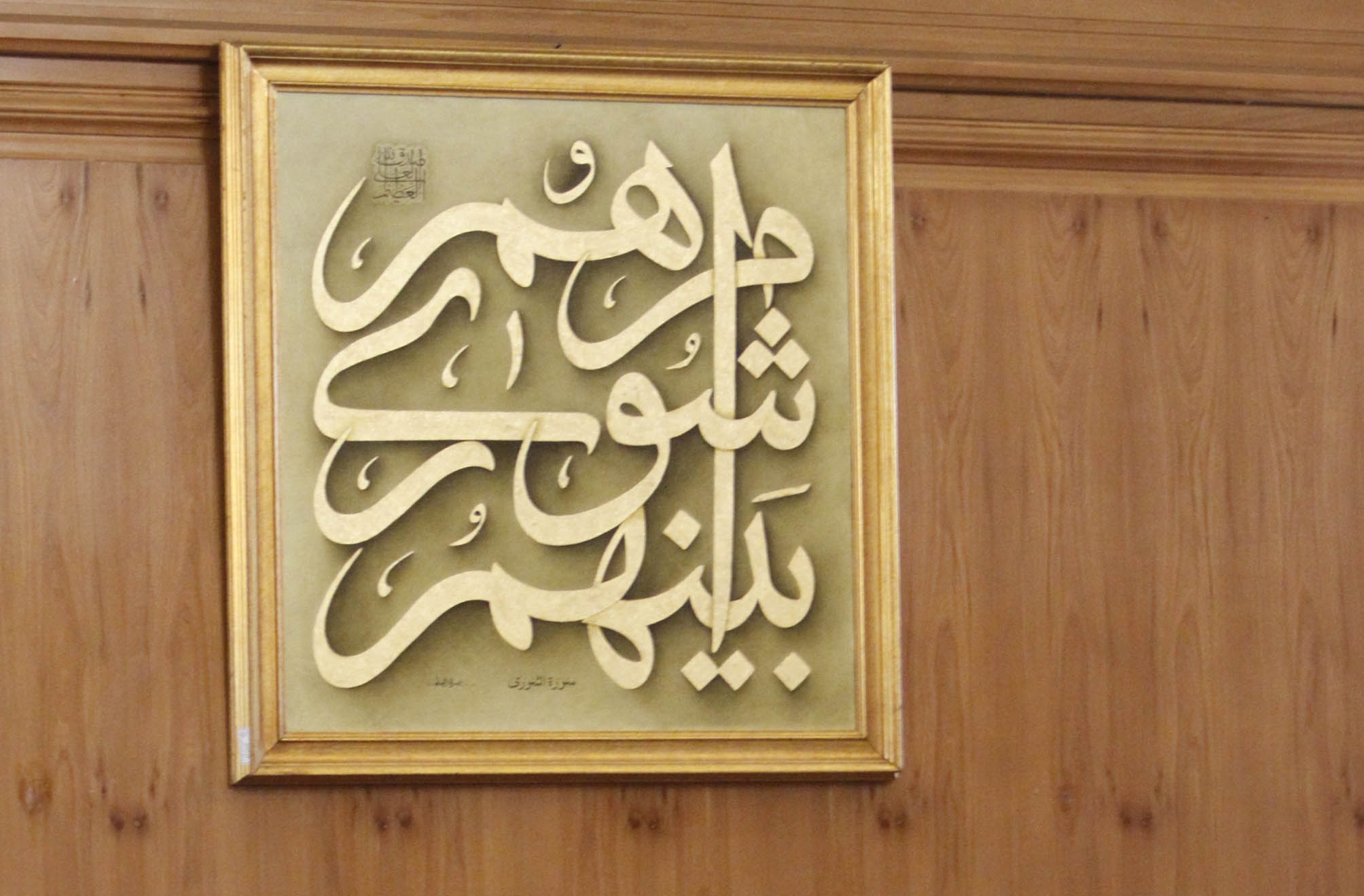 شهردار بدون اطلاع شورا درخت قطع می کند/ بدهی 86 میلیاردی شهرداری