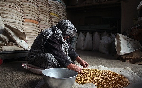 تامین 99 درصد نخودچی در ممقان/ تبلور اقتصاد مقاومتی با طعم دار کردن نخودچیها تامین 99 درصد نخودچی در ممقان/ تبلور اقتصاد مقاومتی با طعم دار کردن نخودچیها