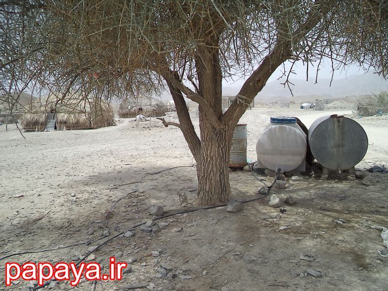 روستایی که هنوز ادیسون به آن نرسیده!