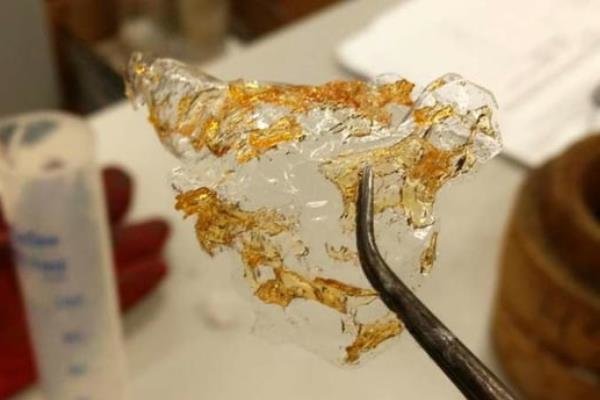 مصری ها از ضایعات میگو پلاستیک ساختند