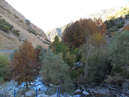 تنگه مهریان یک دشت پای کوهی+تصاویر تنگه مهریان یک دشت پای کوهی+تصاویر
