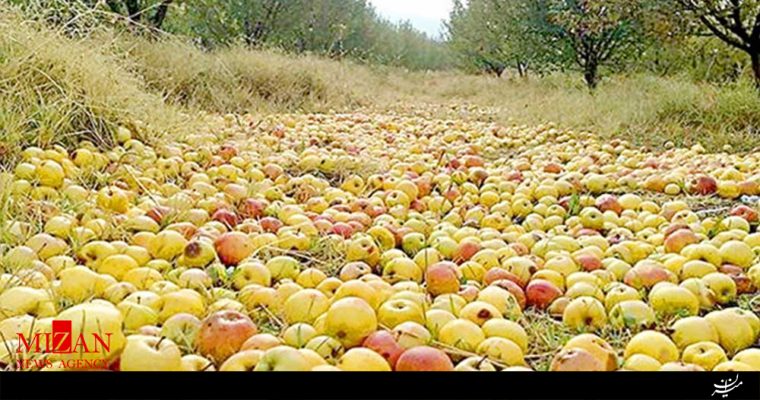 میوه