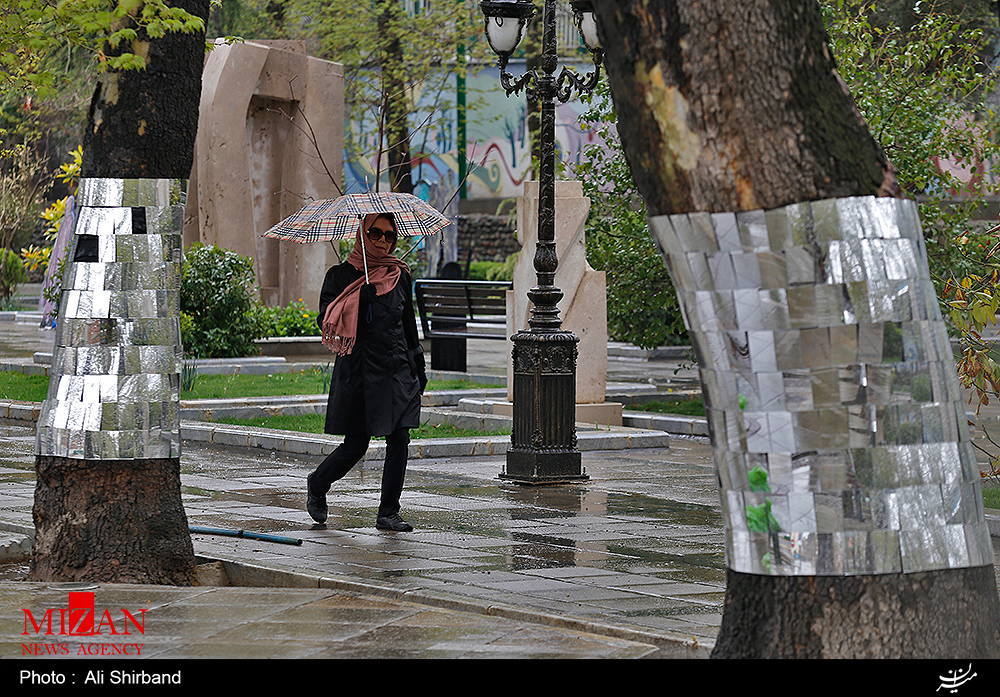 بهره گیری از راهکارهای جدید برای صیانت از درختان خیابان ولی عصر/ حفظ حریم درختان در احداث کانال ها و تونل ها