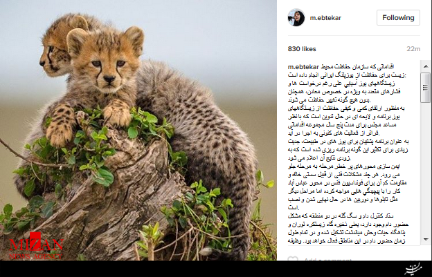 اقدامات سازمان محیط زیست برای حفاظت از یوزپلنگ ایرانی اقدامات سازمان محیط زیست برای حفاظت از یوزپلنگ ایرانی