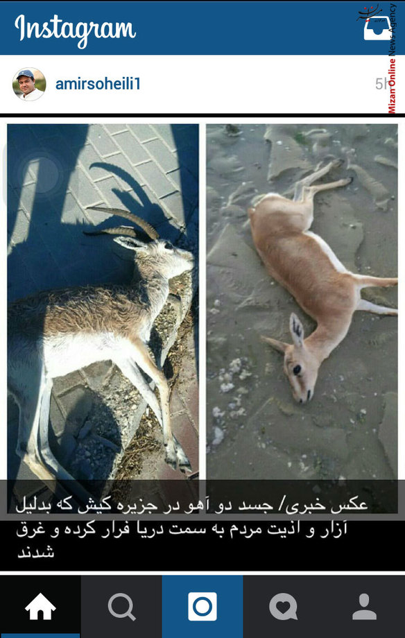 بدون شرح از امیر سهیلی