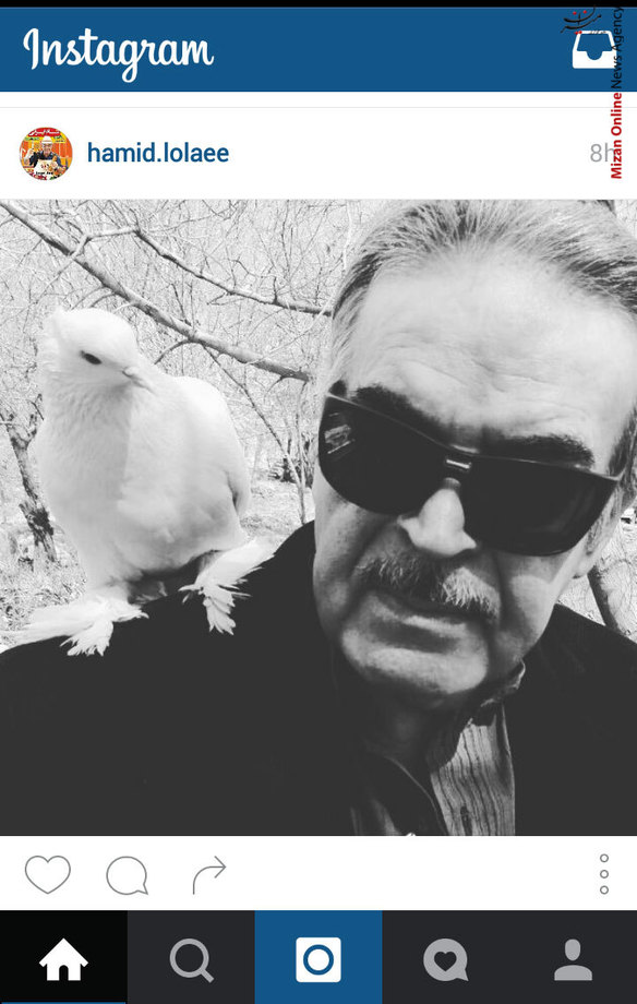 دوستی حمید لولایی با کبوتر سفید