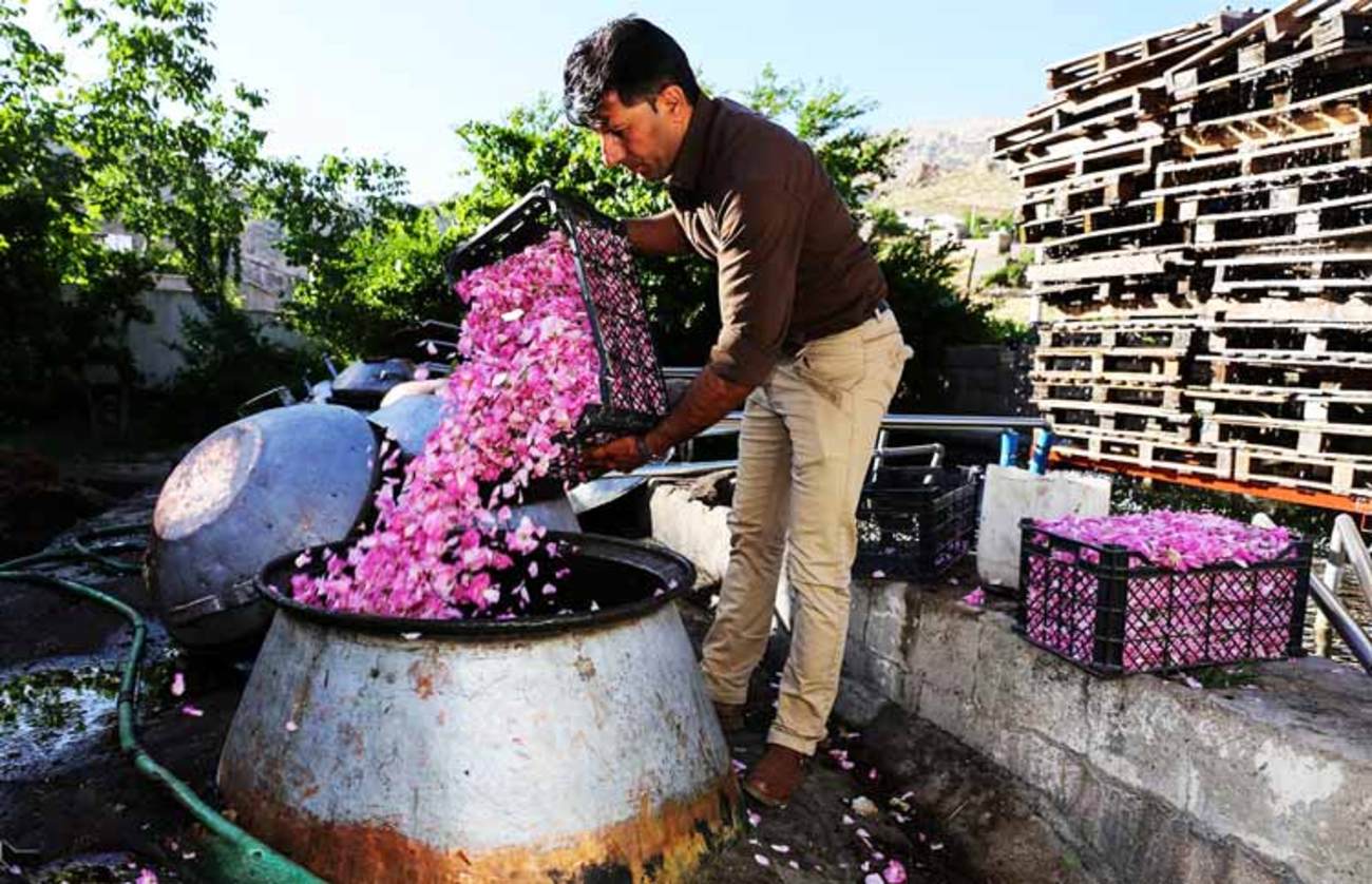 دیگ‌هایی برای جوشاندن گل محمدی