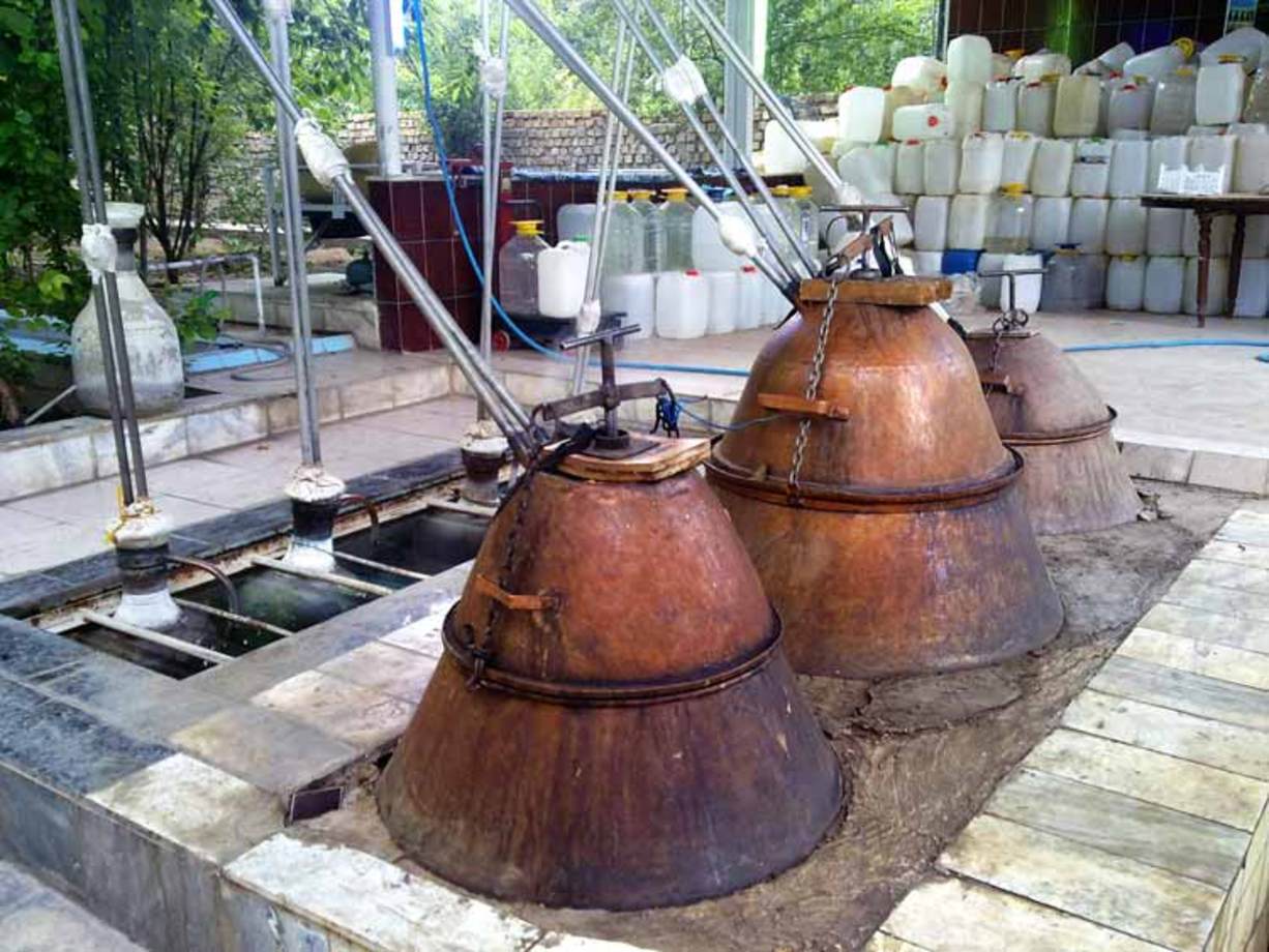 دیگ‌هایی برای جوشاندن گل محمدی