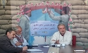 حوزه هنری حوزه هنری