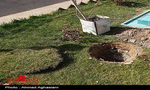 درخت کاری 