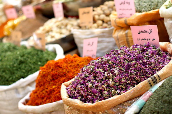 داروی گیاهی