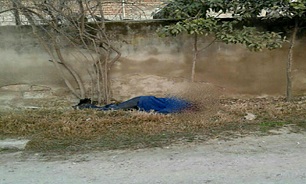 سفید رود
