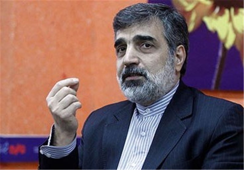 کمالوندی: سند همکاری‌های هسته‌ای ایران و مجارستان به امضا می‌رسد