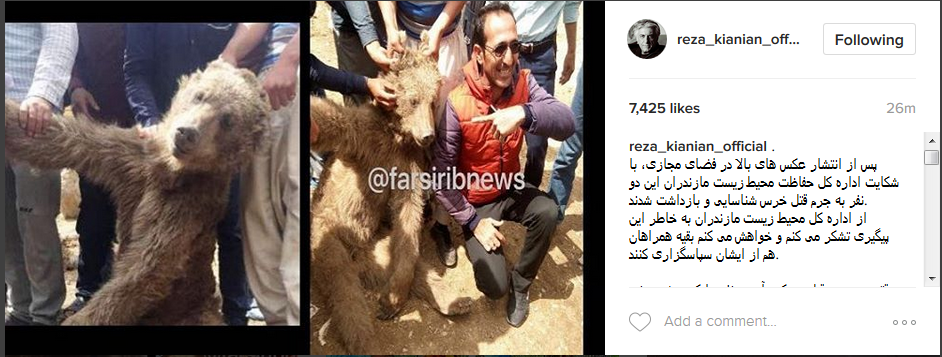 قدردانی رضا کیانیان از محیط زیست مازندران برای شناسایی قاتلان یک خرس