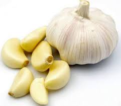 از خواص جادویی سیر چه میدانید؟/ آشنایی با با داروخانه طبیعی بدن
