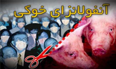 آنفلوانزای خوکی در آنفلوانزای خوکی در