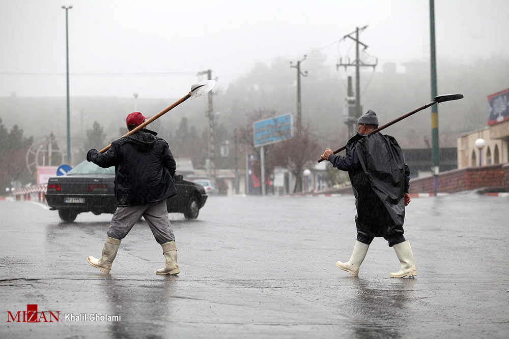 سیل 