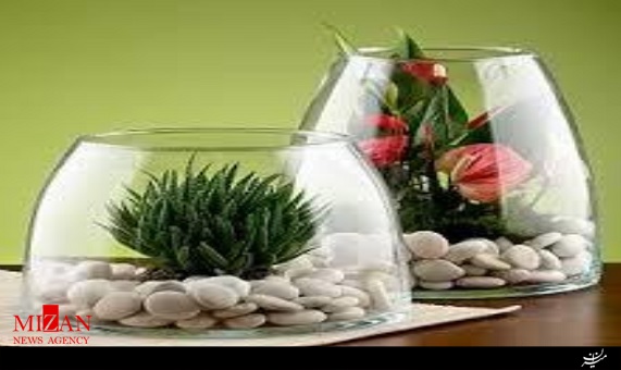 کاشت بذر در ظرف شیشهای کاشت بذر در ظرف شیشهای