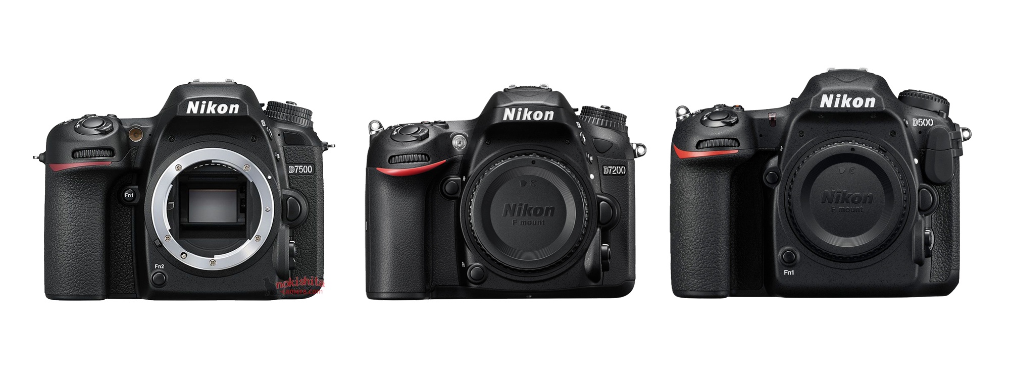 راهنمای خرید دوربین Nikon D7500