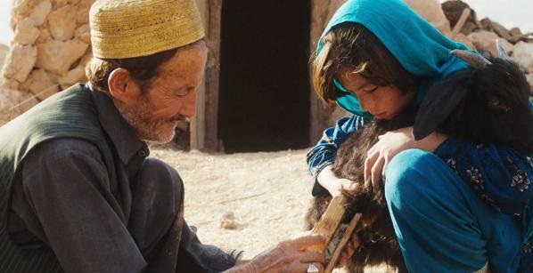 گرگ و بره