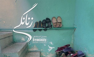 مستند زنانگی