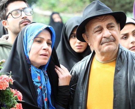 ساقس زینتی