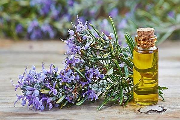 شیرینی‌های قنادی سبب ایجاد کیست می‌شود/ موسیر به هضم غذا کمک می‌کند/ تقویت حافظه کودکان با روغن رزماری/ کیفیت خواب‌تان را بالا ببرید