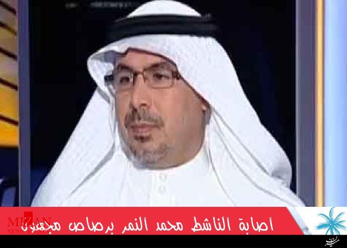 محمد النمر
