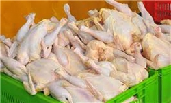 آغاز صادرات آغاز صادرات