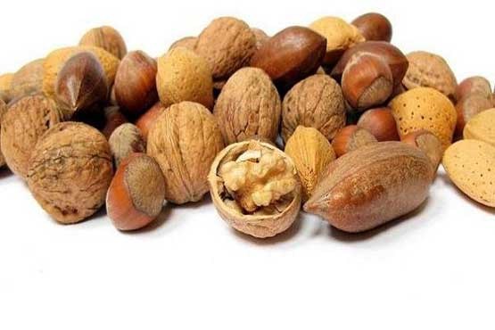 زیر ذرهبین؛ شیوع سالک در ایران بالاتر از میانگین دنیا/ توجه پدر راهی برای کاهش چاقی در کودک/ امید تازه برای درمان اگزما زیر ذرهبین؛ شیوع سالک در ایران بالاتر از میانگین دنیا/ توجه پدر راهی برای کاهش چاقی در کودک/ امید تازه برای درمان اگزما