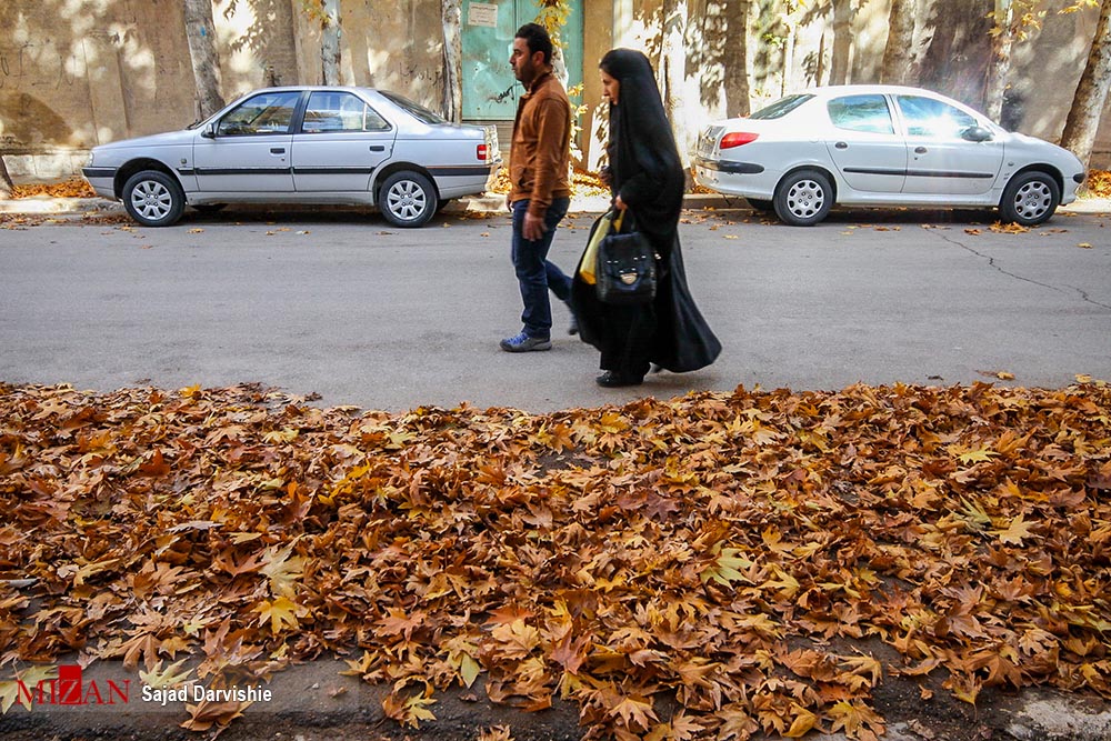 آلرژی 