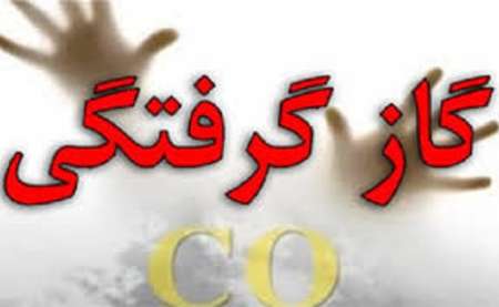 افزایش مسمومیت گاز مونواکسید/ 13 مسموم نشست گاز در کرج