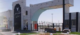 عضو هیات علمی دانشگاه آزاد درگذشت
