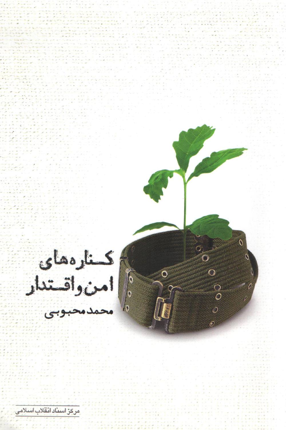 کنارههای امن و اقتدار روانه بازار کتاب شد کنارههای امن و اقتدار روانه بازار کتاب شد