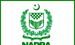 سازمان