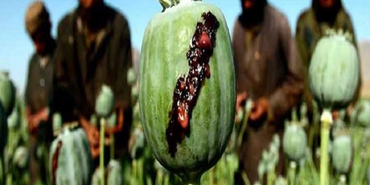افزایش ۶۵ درصدی تولید