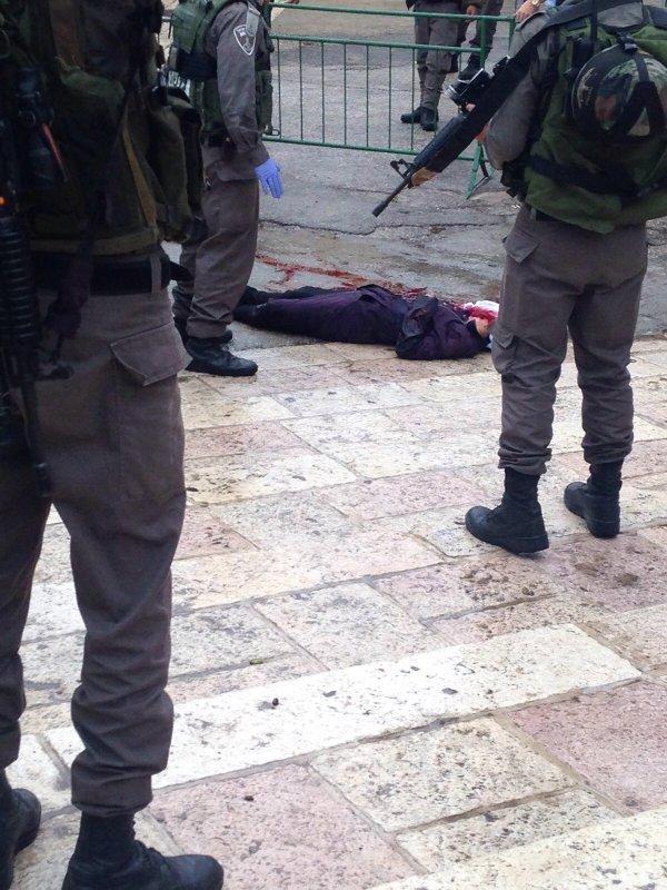 شهادت فجیع دانش‌آموز دختر فلسطینی + عکس
