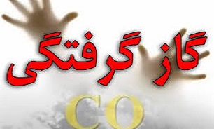 مونوکسید کربن ۱۱۰ مهمان عروسی را مسموم کرد /۱۲ نفر بستری شدند مونوکسید کربن ۱۱۰ مهمان عروسی را مسموم کرد /۱۲ نفر بستری شدند
