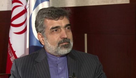 کمالوندی: هنوز هیچ سانتریفیوژی برچیده نشده است